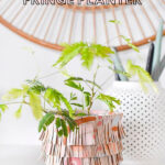 Painted Fringe Leather Planter Pot