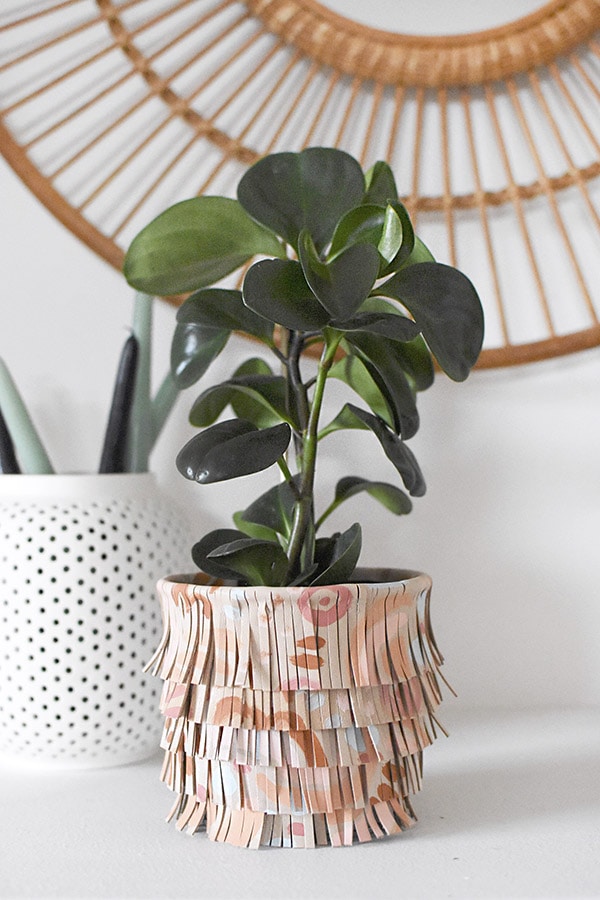 Painted Fringe Leather Planter Pot