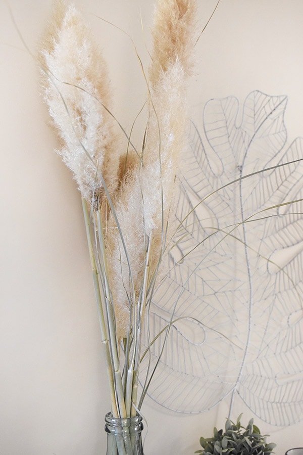 Pampas Grass Decorative