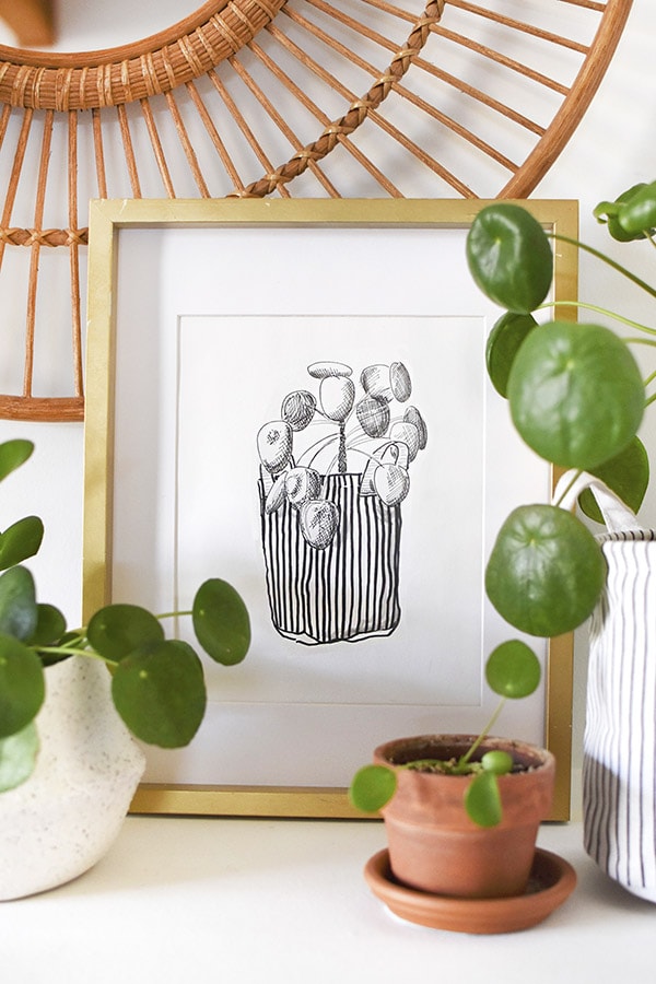 Pilea peperomioides Digital Print