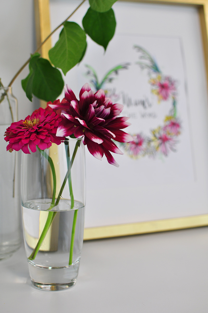 Deep burgundy Mum flower in glass of water