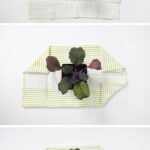 Plant Gift-Kale wrap fabric