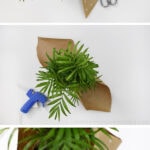Plant Gift-Palm wrapping with paper