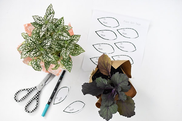 Printable Plant Gift tags