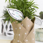 Plant Gift wrapping