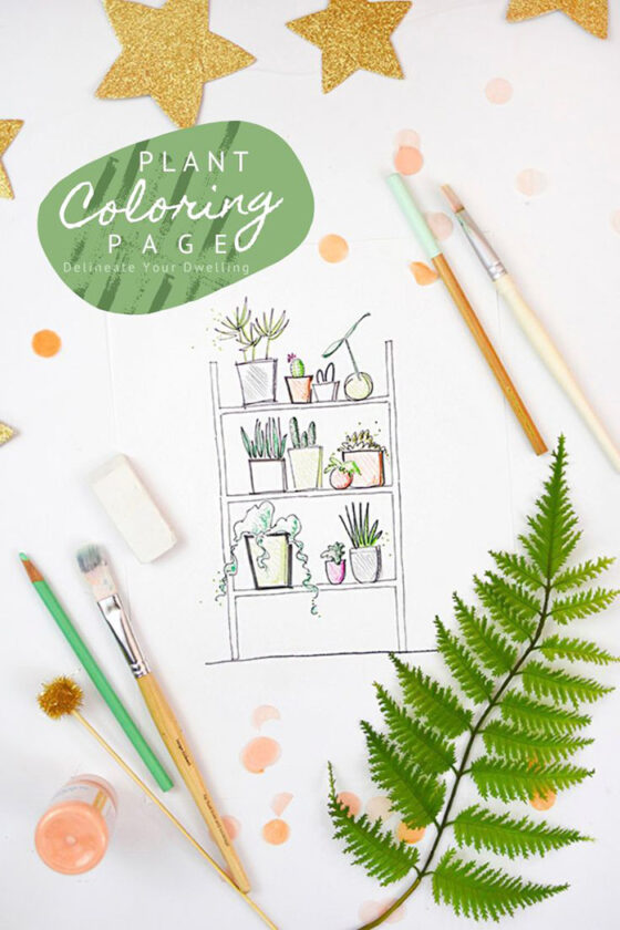 Plant Shelfie Coloring Page Delineate Your Dwelling