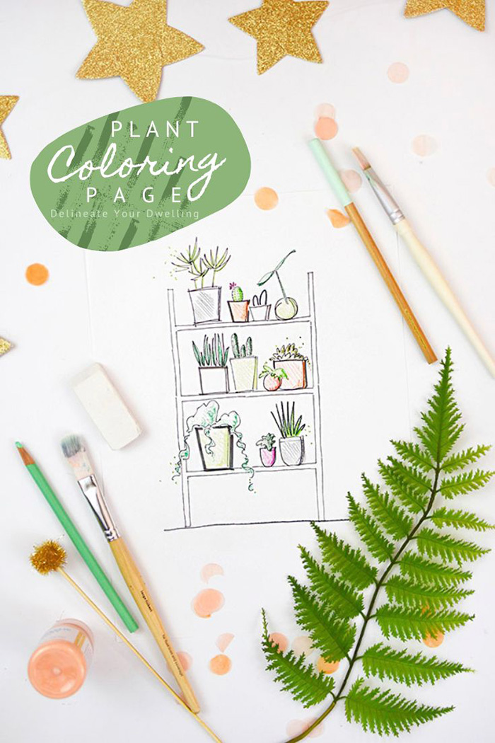 Plant Shelfie Coloring Page Digital Download