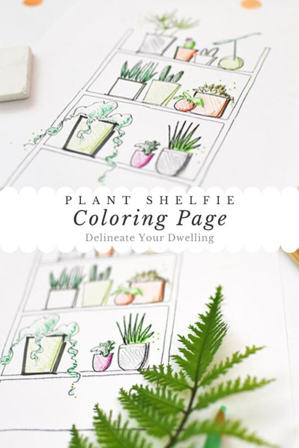 Plant Shelfie Coloring Page Delineate Your Dwelling