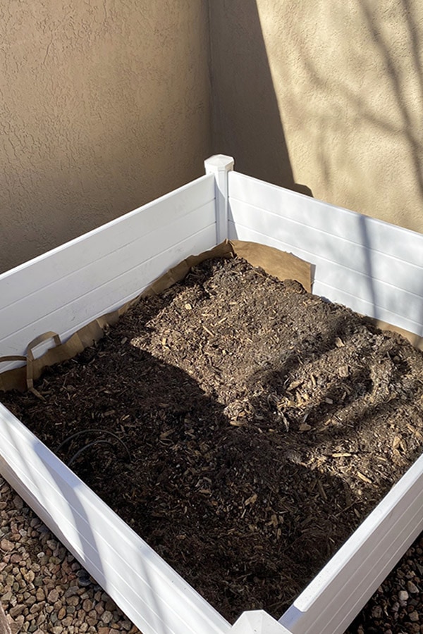 Raised Vegetable Garden soil depth