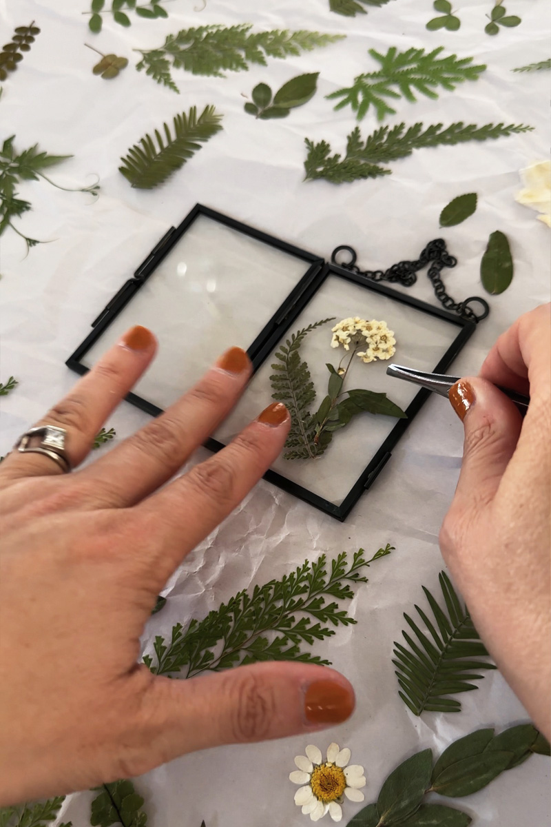 White flower in glass frame