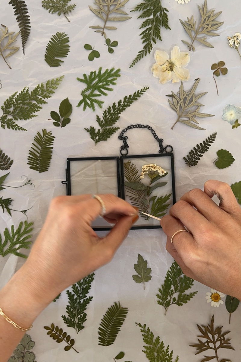 Placing pressed leaves in glass