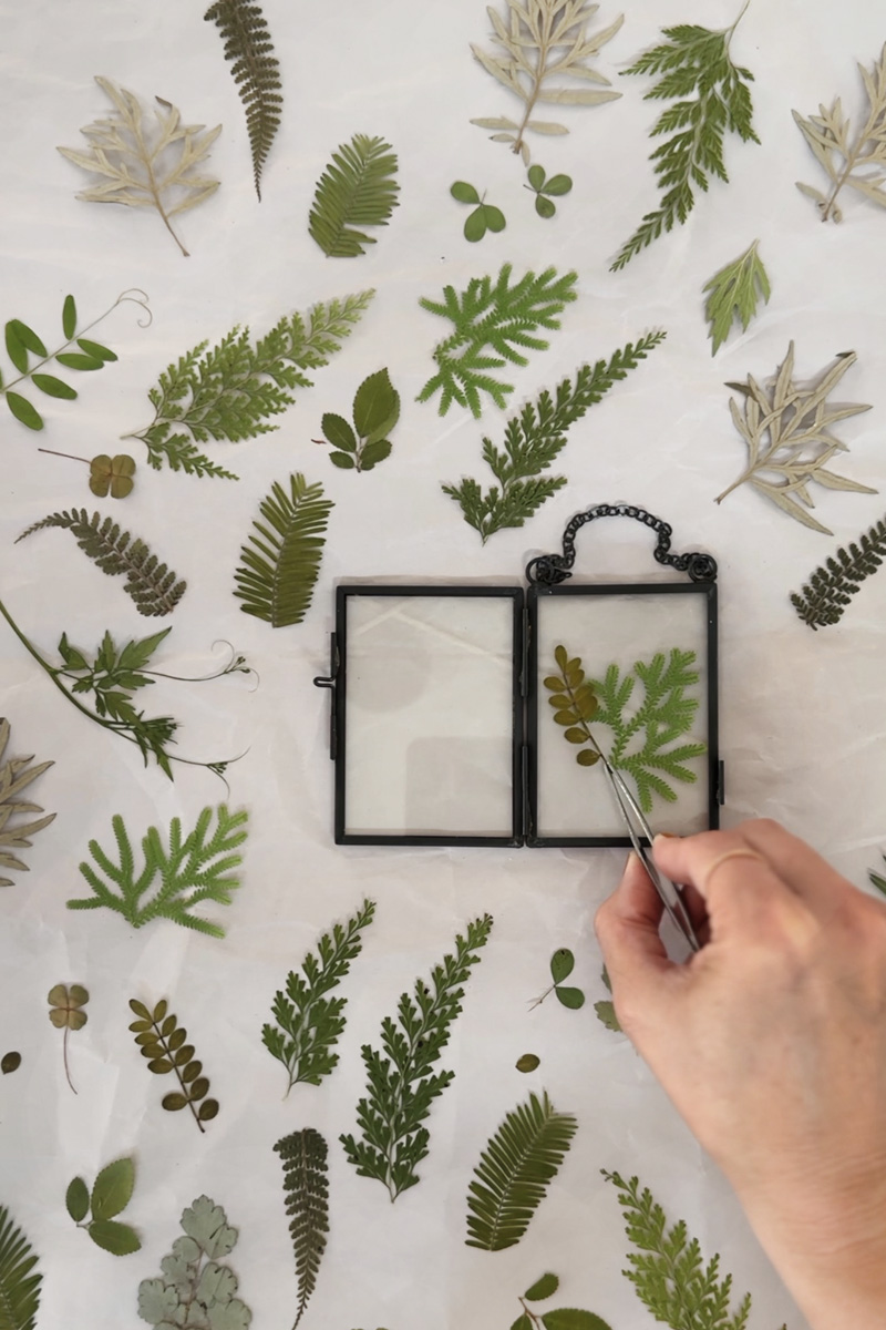 Tweezers with pressed leaves