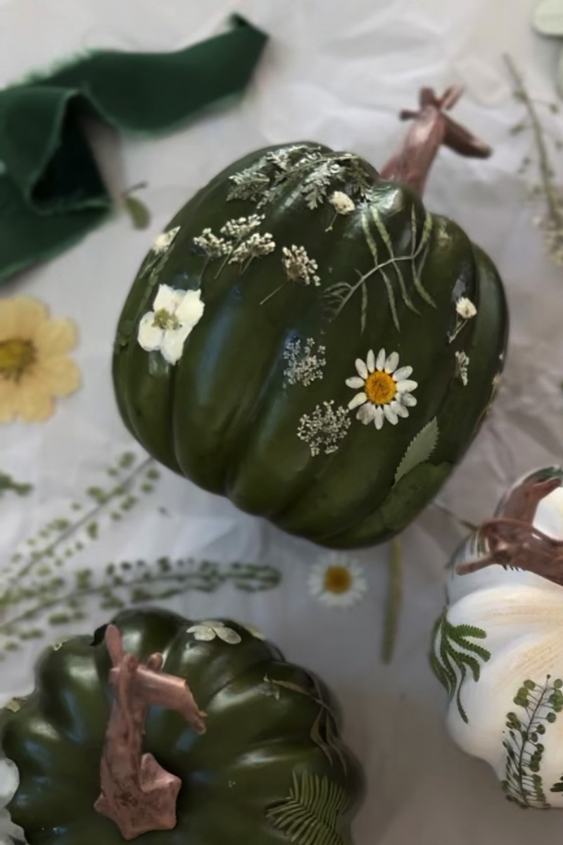 Green pumpkin with Queen Ann's Lace and Daisy