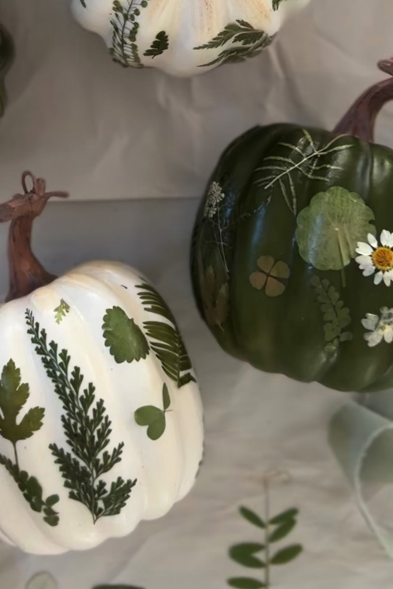 White and Green pumpkins with pressed leaves