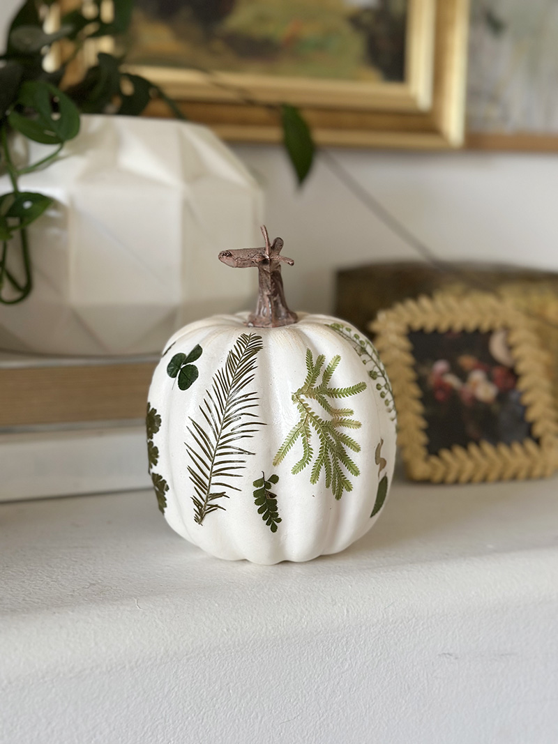 White Pumpkin with elegant pressed Leaves