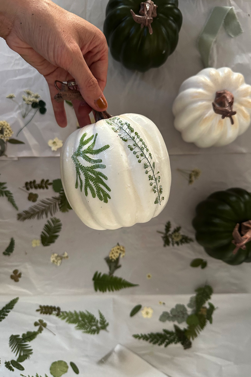 White pumpkin with decoupage leaves