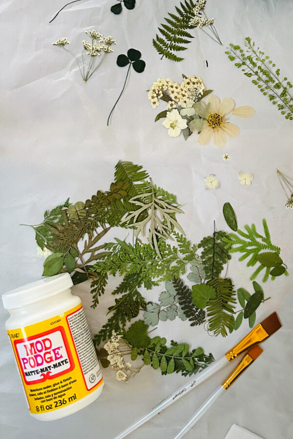 Pressed leaves and Mod Podge