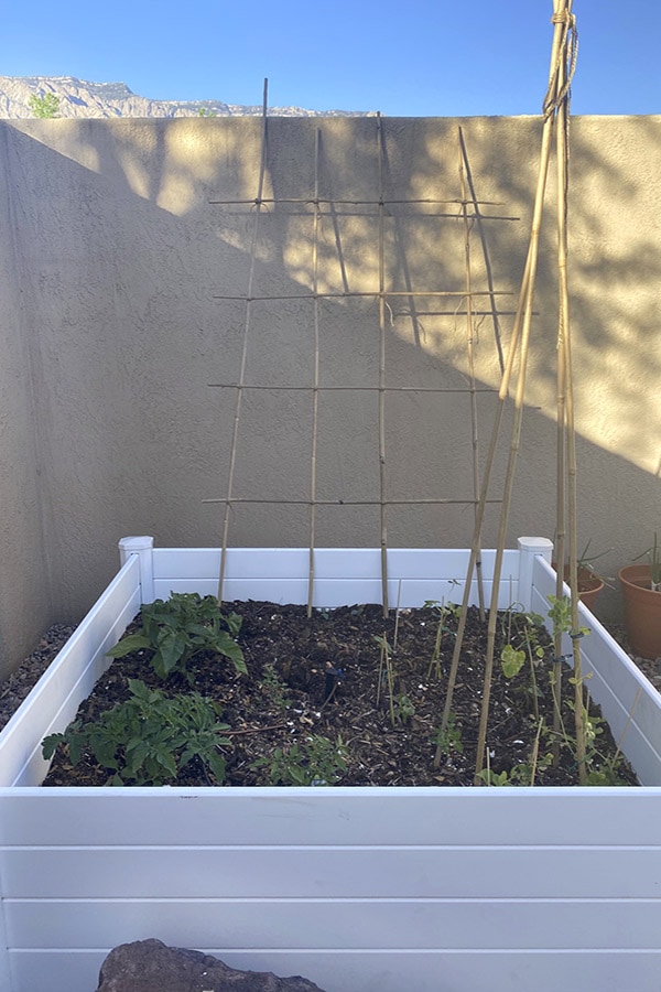 Raised Vegetable Garden Structure