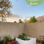 Simple Raised Vegetable Garden