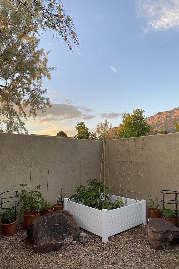 Create a Simple Raised Vegetable Garden - Delineate Your Dwelling