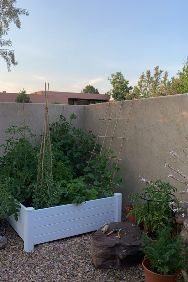 Raised Vegetable Garden