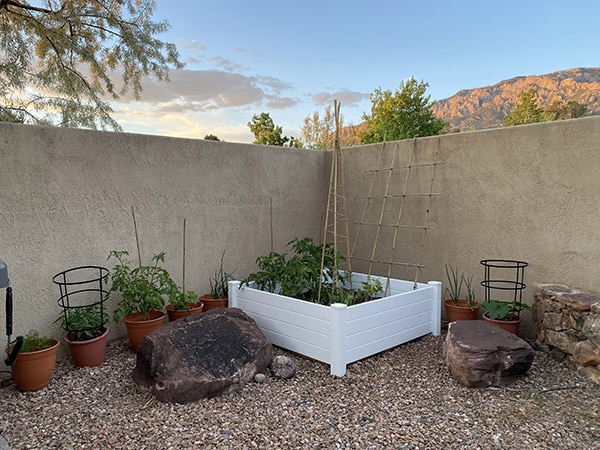 Desert Raised Vegetable Garden