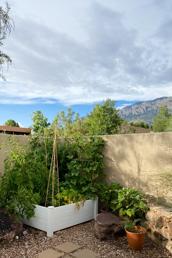 Simple Raised Vegetable Garden