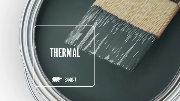 Behr Thermal Green Paint brush