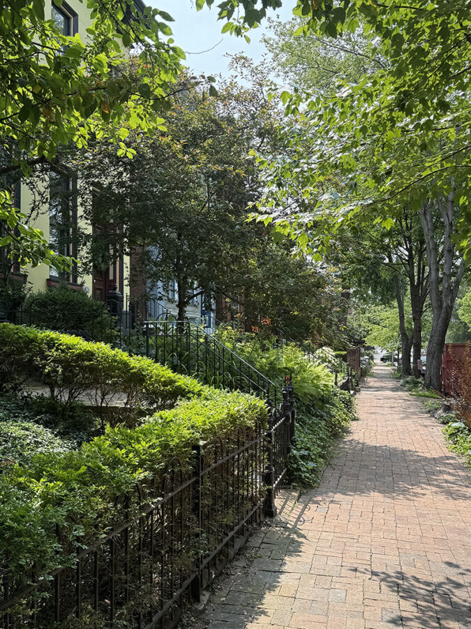 Greenery and brick lined sidewalks