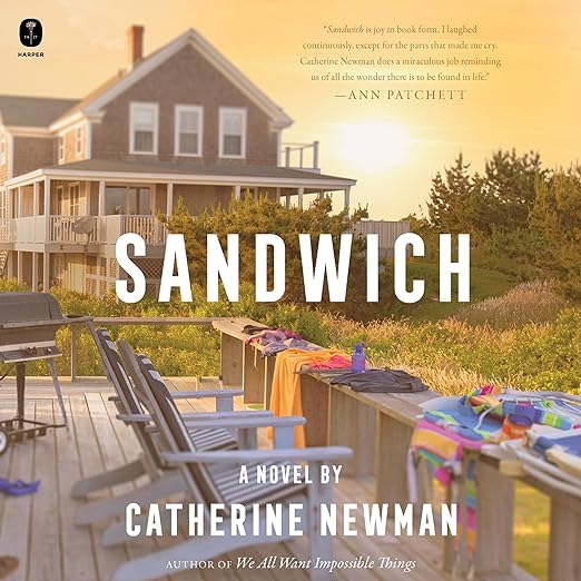 Sandwich - fiction book