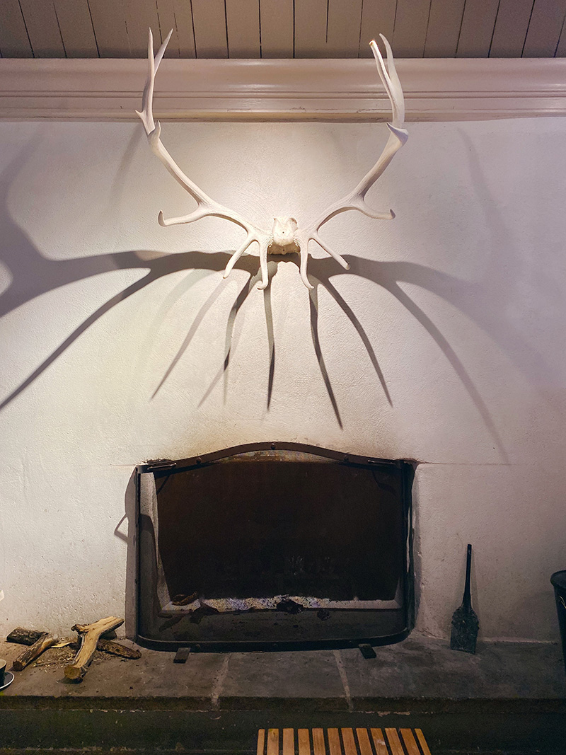 Antler mounted over a Santa Fe fireplace