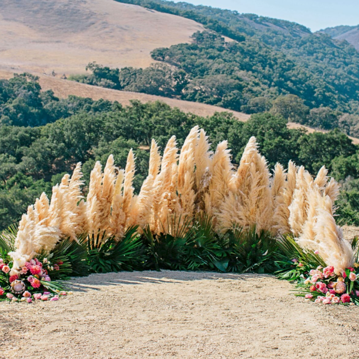 13 Creative ways to Decorate with Pampas Grass Delineate Your Dwelling