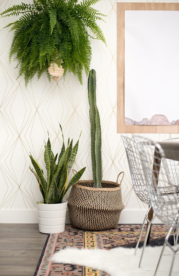 Sharpie-Accent-Dining-Room