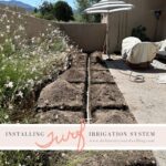 Small-Turf-Irrigation-Popup-Install