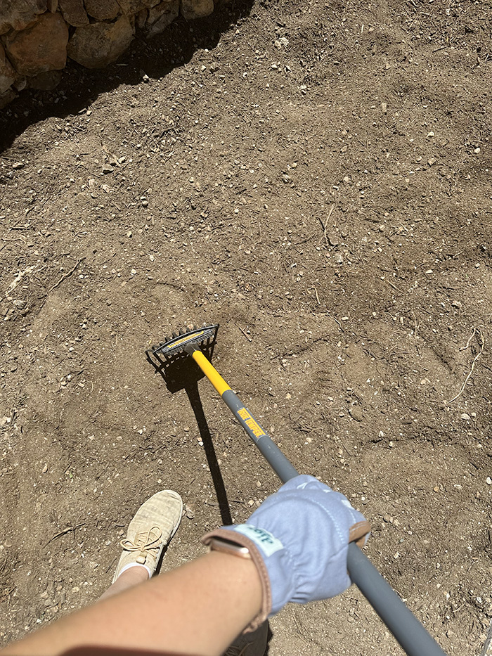 Hand raking soil