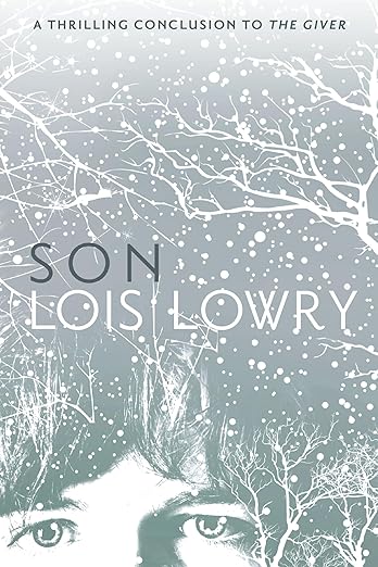 Son, Fiction book