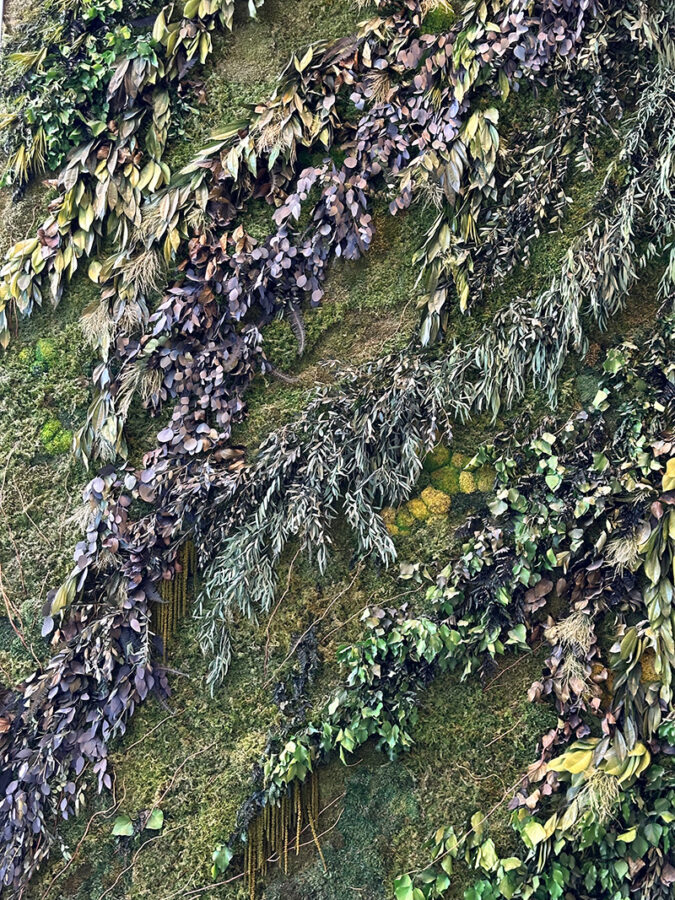Moss and greenery plant wall
