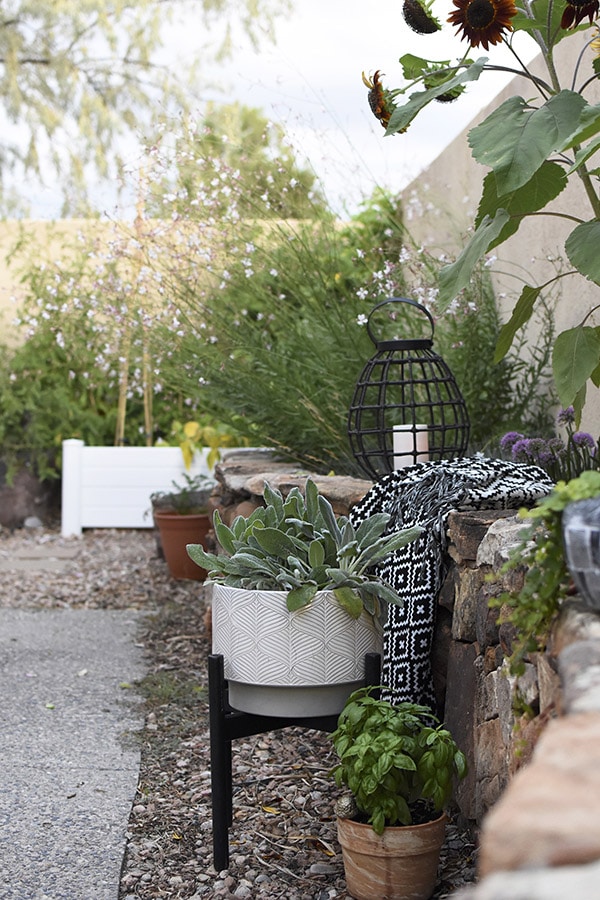 Backyard Stone Wall 