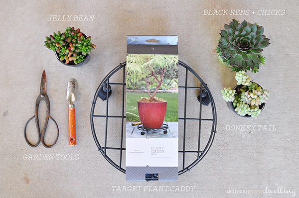 Succulent Table supplies