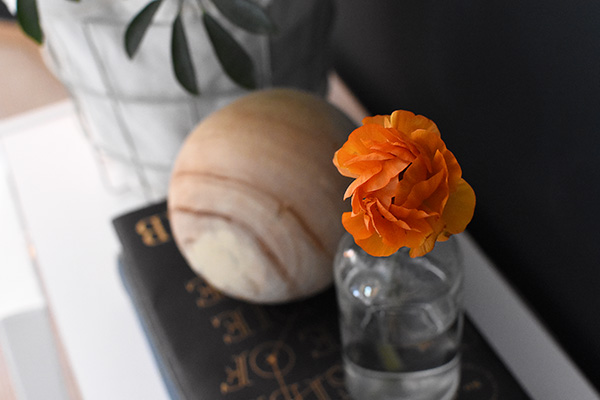 Orange Ranunculus