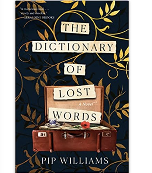 The Dictionary of Lost Words, Fiction Book