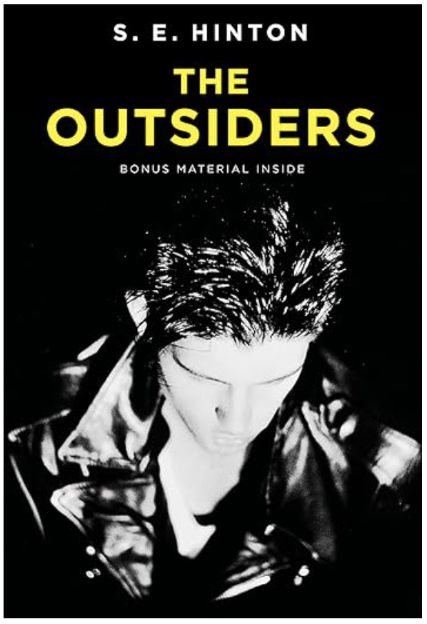 The Outsiders - fiction book