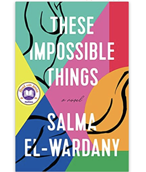 These Impossible Things fiction book