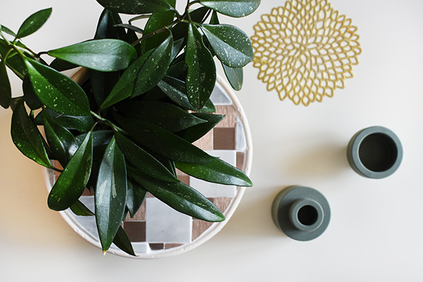 Checkerboard Plant Stand