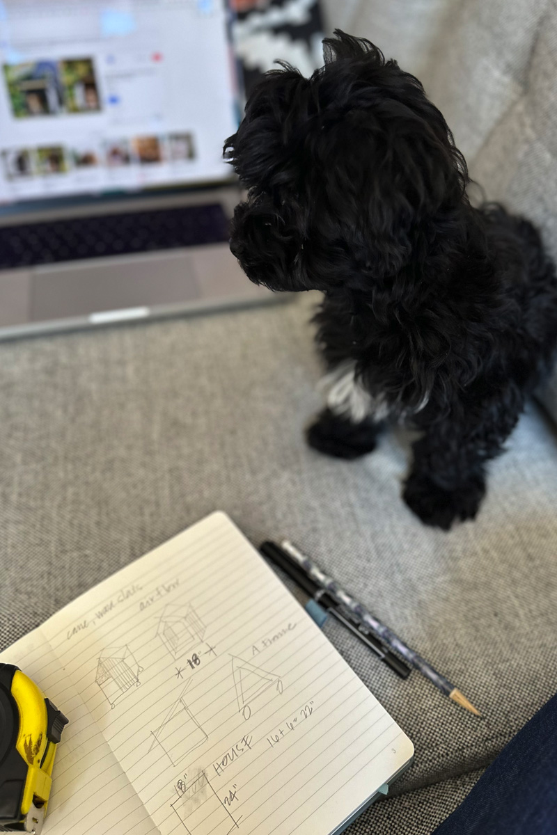 Havanese dog with dog house plans