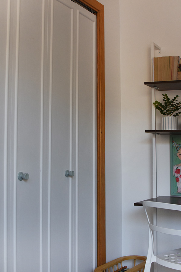 Modern White Trim Closet doors