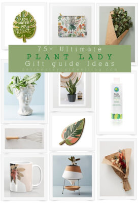 75+ Ultimate Plant Lady Gift guide ideas - Delineate Your Dwelling