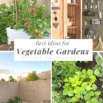 Vegetable Gardens