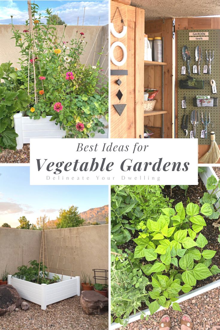 Best Ideas for Vegetable Gardens