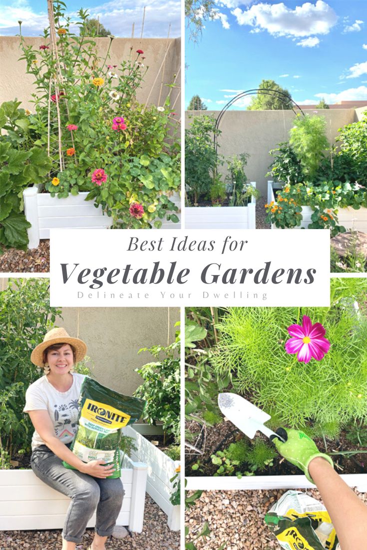 Vegetable Garden Ideas